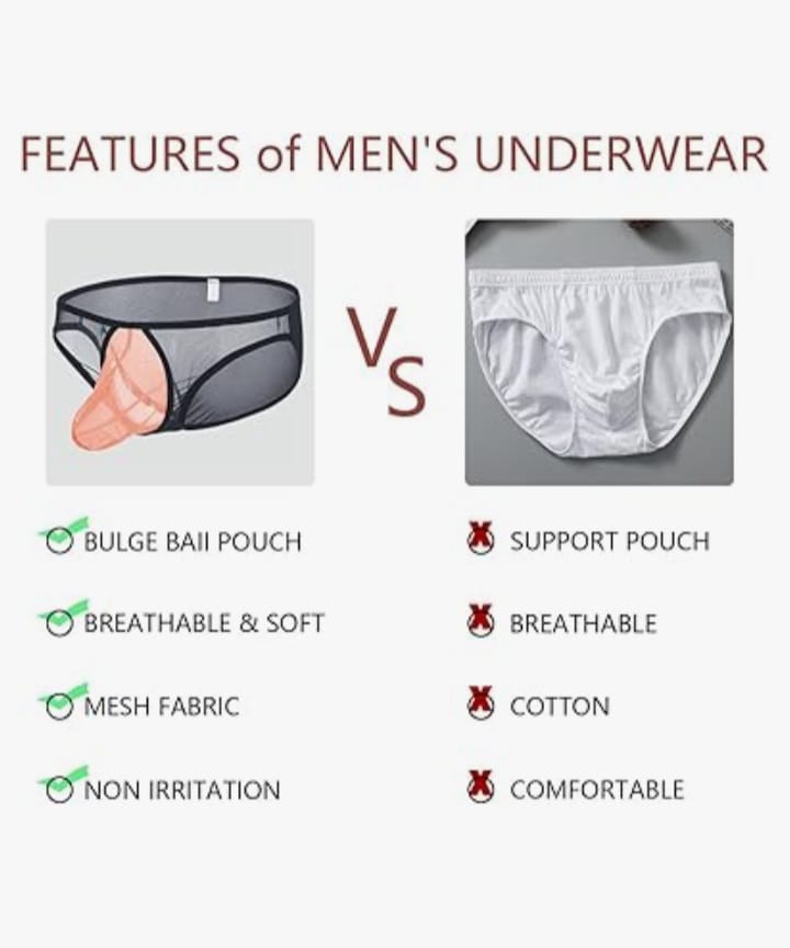 Men's Mesh Underwear Briefs See Through Breathable Briefs Whit Bulge Pouch